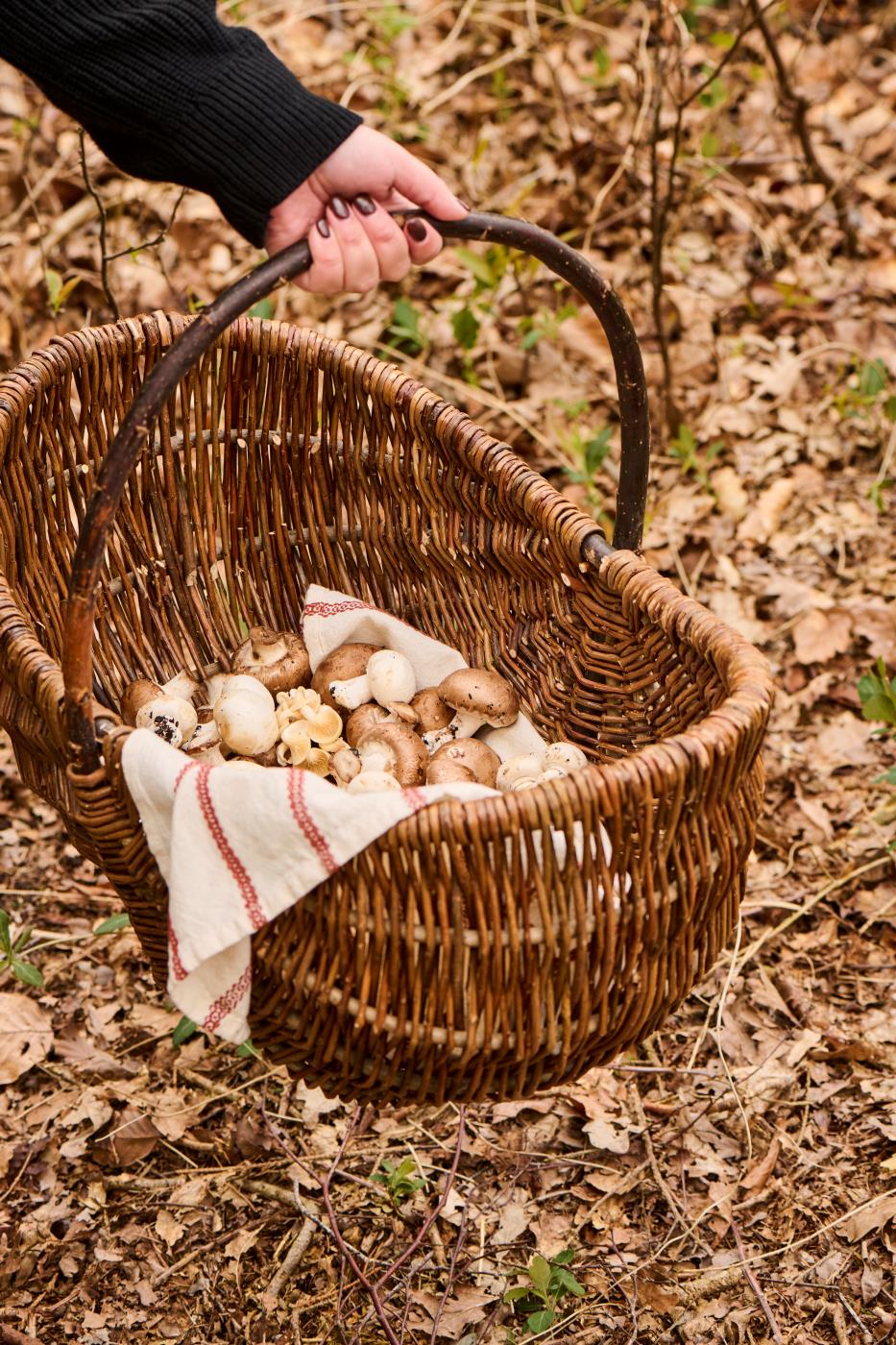 Cesta de mimbre [Preventa]